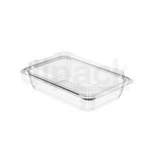 300 g Rectangular Cookie Container with Lid