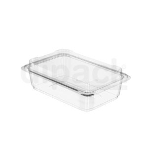 350 g Rectangular Cookie Container with Lid