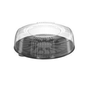 Oval Cake Container and Lid Set H-60 Patterned